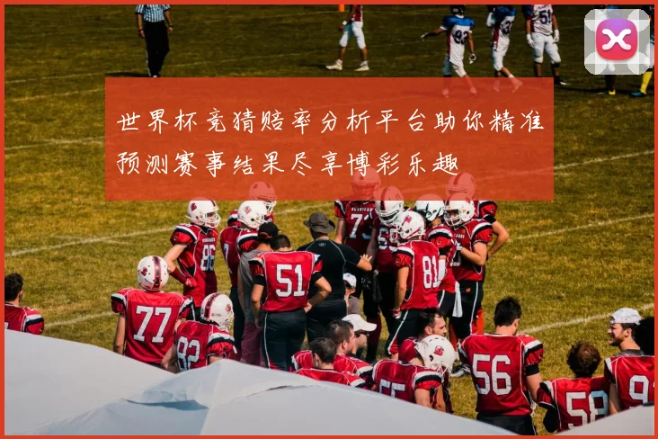 世界杯竞猜赔率分析平台助你精准预测赛事结果尽享博彩乐趣