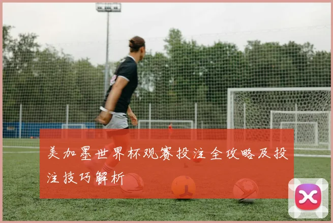 美加墨世界杯观赛投注全攻略及投注技巧解析