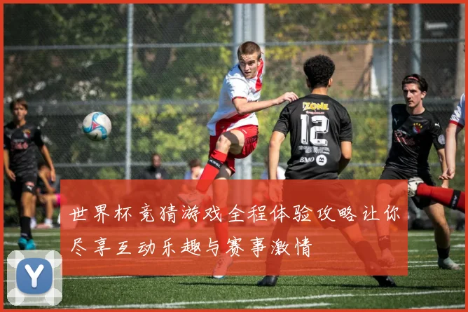 世界杯竞猜游戏全程体验攻略让你尽享互动乐趣与赛事激情