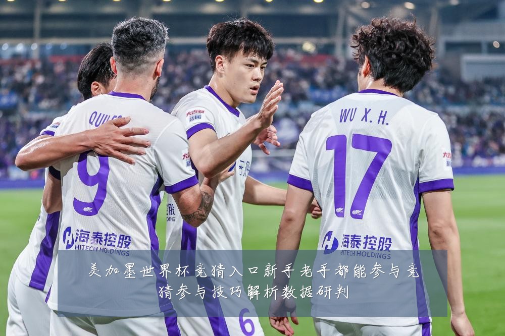 美加墨世界杯竞猜入口新手老手都能参与竞猜参与技巧解析数据研判
